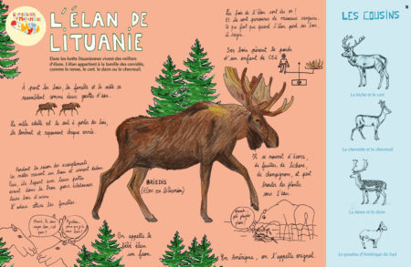 Numéro 36 Lituanie – Image 6