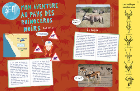 Numéro 37 Namibie – Image 4