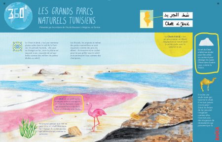 Numéro 39 Tunisie – Image 9
